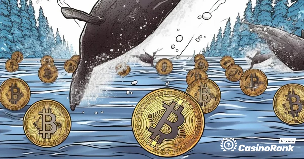 加密货币市场的鲸鱼运动：MATIC 和 SOL 代币转移